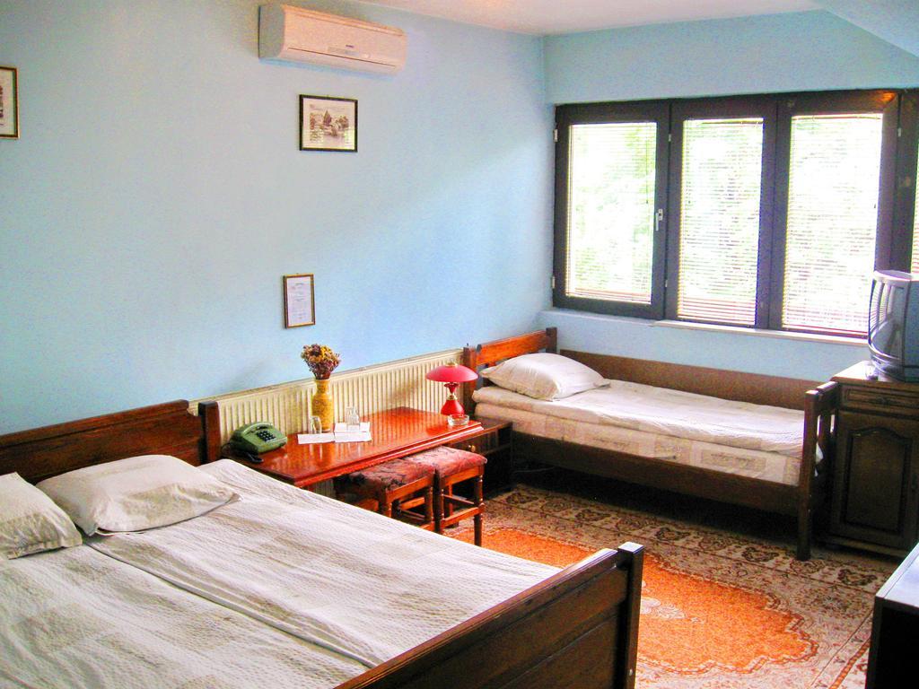 Amfora Rooms Caribrod Dimitrovgrad Camera foto