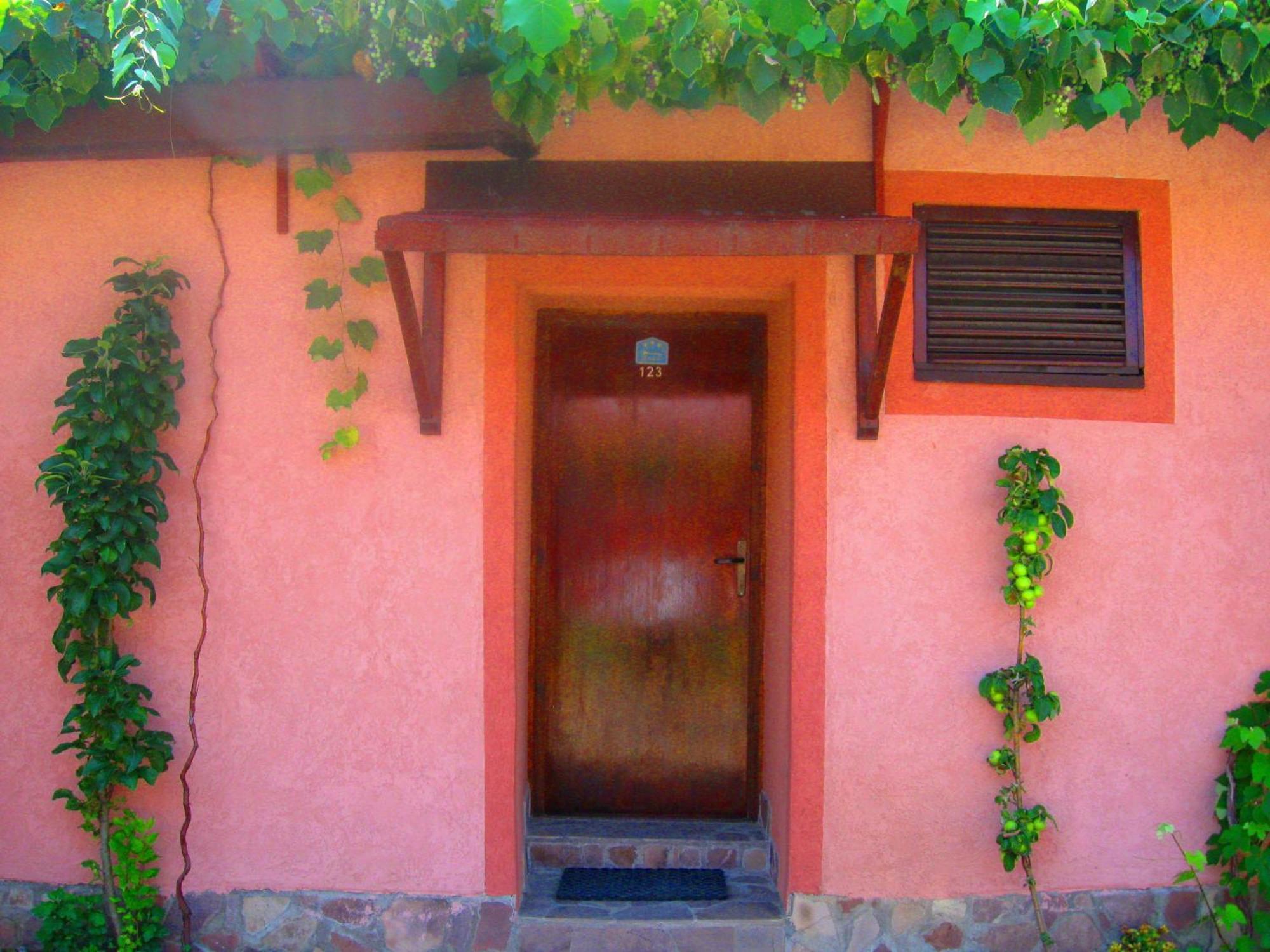 Amfora Rooms Caribrod Dimitrovgrad Camera foto